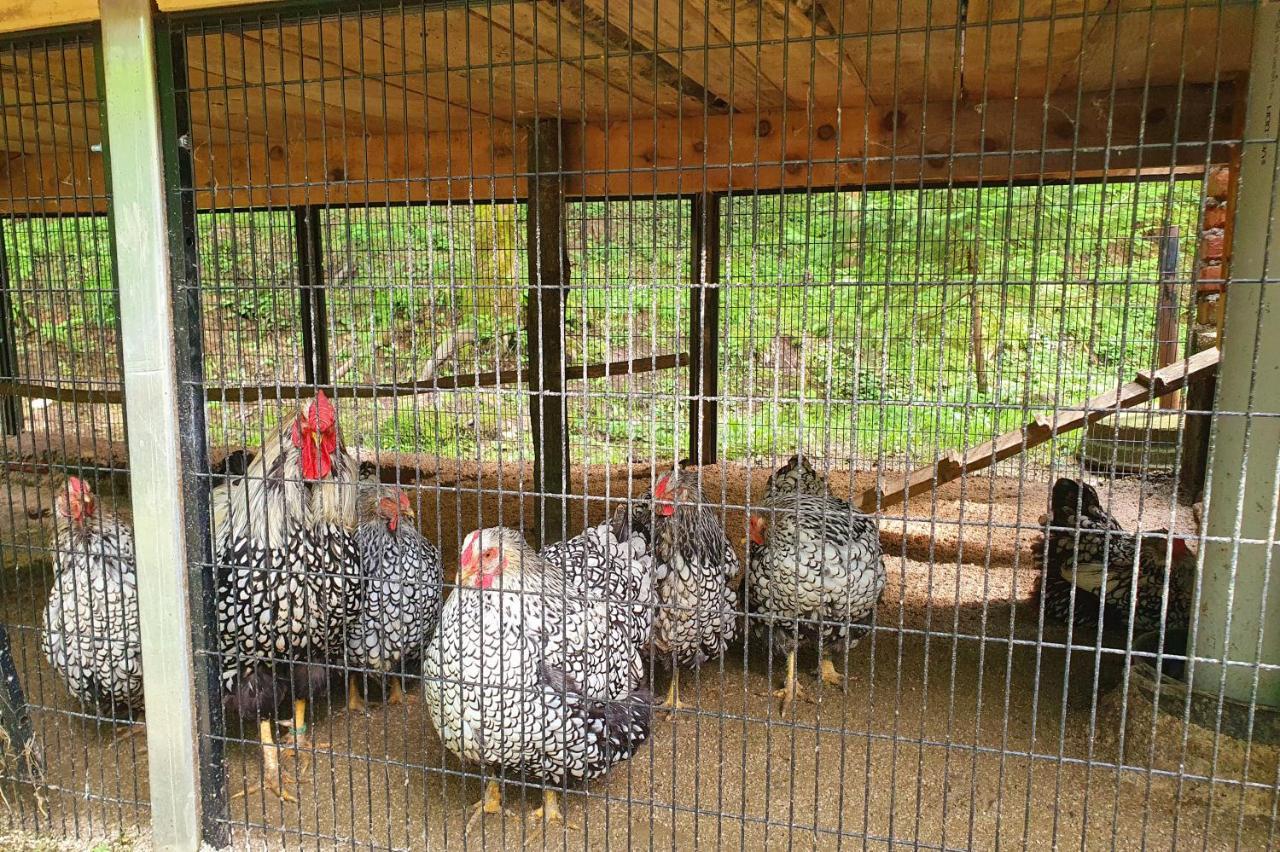 Ferienwohnung Etno Selo Bistrovo Vitez Exterior foto